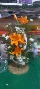 WhatsApp Image 2026-02-02 at 18.31.52