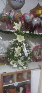 WhatsApp Image 2026-02-02 at 18.31.56