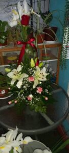 WhatsApp Image 2026-02-02 at 18.32.10