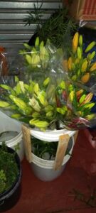 WhatsApp Image 2026-02-02 at 18.32.30