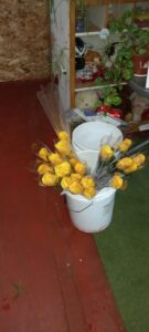 WhatsApp Image 2026-02-02 at 18.32.31