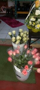 WhatsApp Image 2026-02-02 at 18.32.33